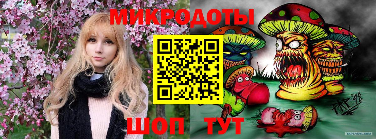 Псилоцибиновые грибы Psilocybe Алапаевск