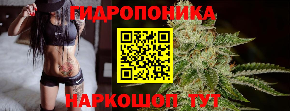 Шишки марихуана ГИДРОПОН  Конопля конопля  Алапаевск  Вход с VPN 